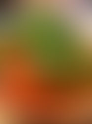 Exploring Osong: A small town in ChungBuk