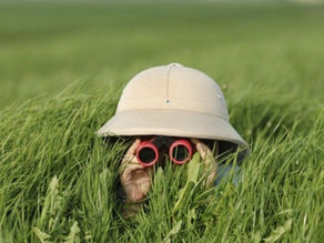 The Elusive State of Flow