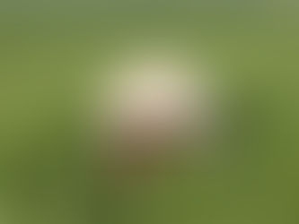 The Elusive State of Flow