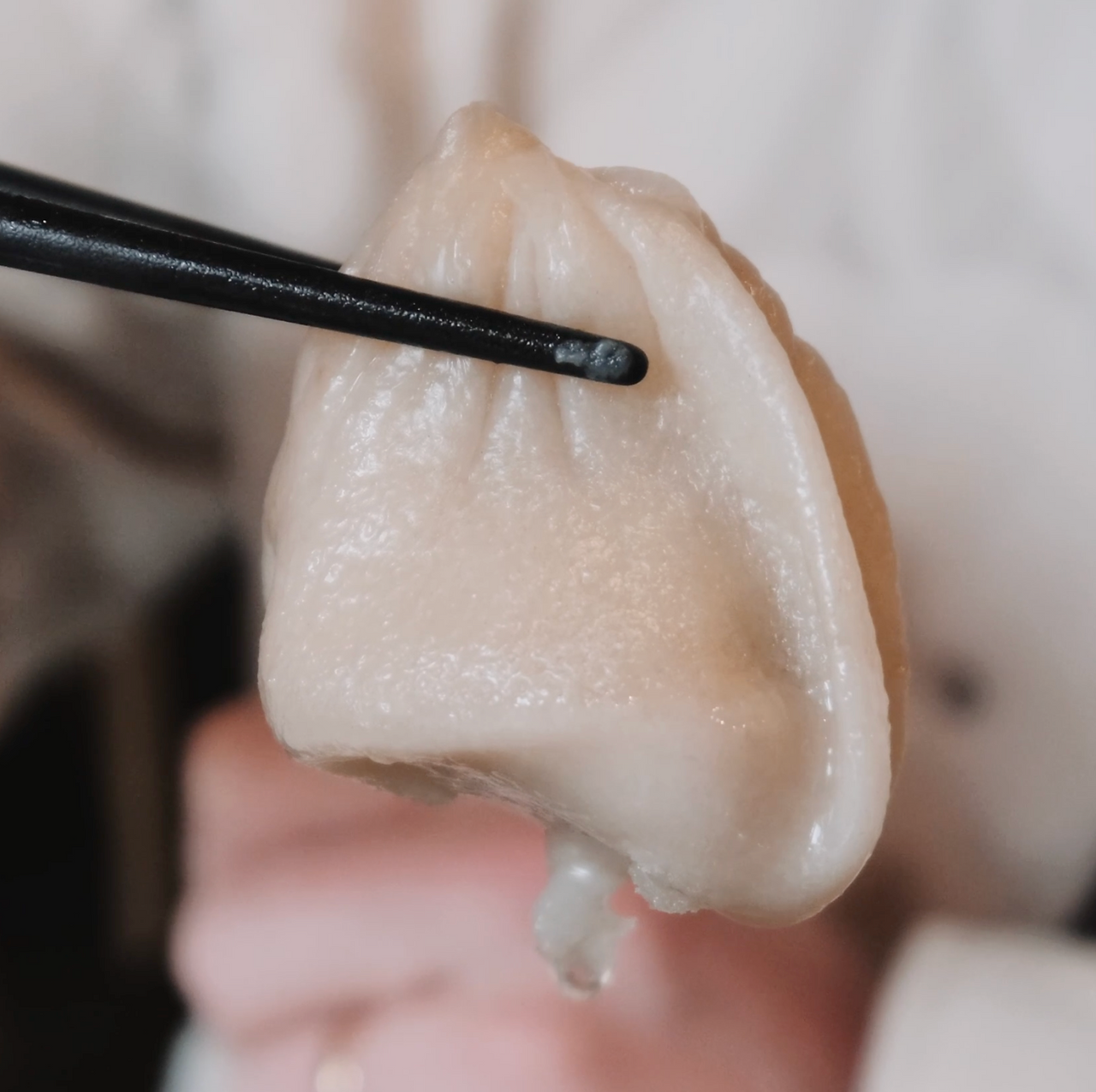 close up of a dumpling from a restaurant in Seoul South Korea
