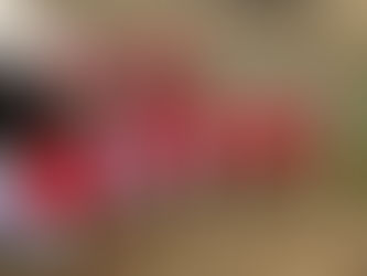 チューリップの球根植え付け🌷