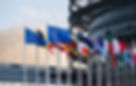 parlement-stras.jpg