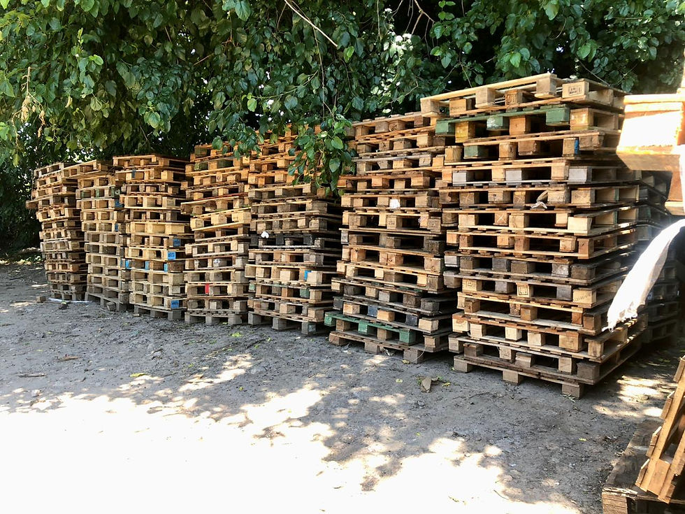 WhatsApp Image 2025-12-07 at 9.04.35 PM.jpeg