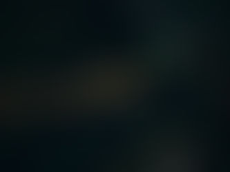 The Sunk Cost Fallacy