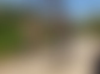 Discovering New Places on Two Wheels – My Experiences Biking in Israel 