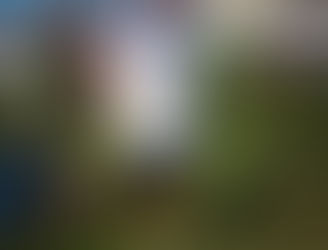 What Does Empowerment Look Like?