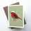 Thumbnail: Robin // Christmas Card