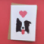 Collie Dog// Greeting/Valentines/Birthday Card