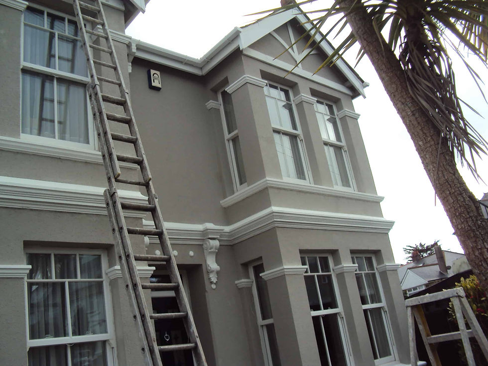 Front view of a traditional two-storey house partially obstructed by a tall palm tree, with a long ladder leaning against the grey facade as exterior painting work is underway.
