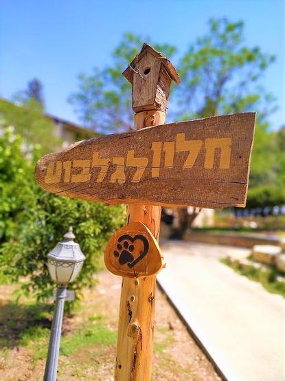 חלון לגלבוע
חלון להר
צימרים בצפון