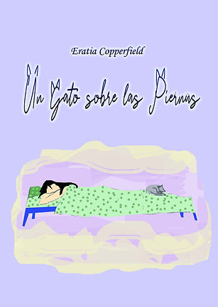 portada gato 4.jpg