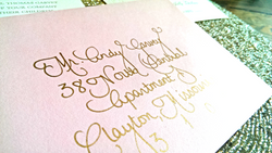 Gold on Blush Classic Calligraphy