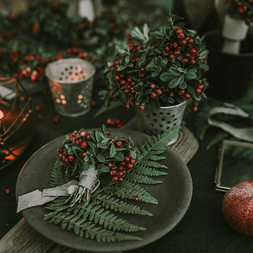 Decoraciones Navideñas