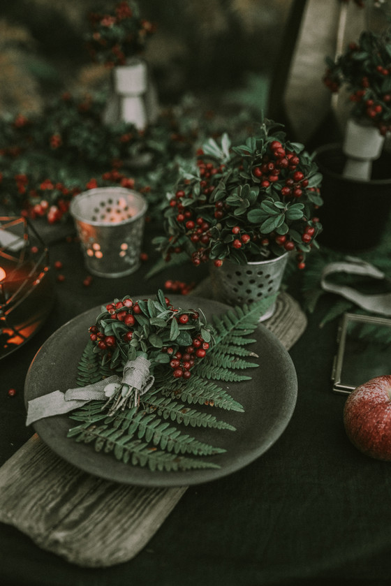 To the Grieving this Christmas 2019