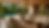 Tropical terrace.png