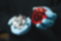 Compressor Wheels