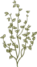 Botany