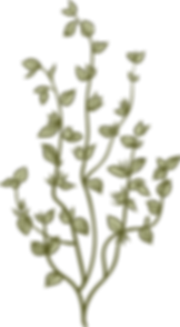Botany