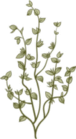 Botany