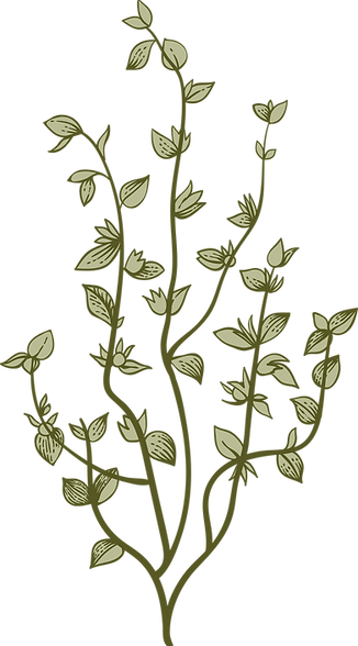 Botany     