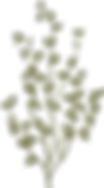 Botany