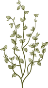 Botany