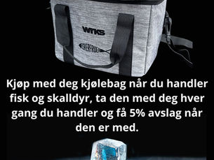 Kjølebag