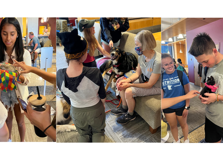 PAWS at the University of Minnesota Duluth