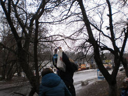 03.02.2016 - Волонтерський виклик 12