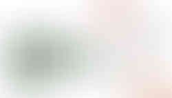 Beauty & Personal Care