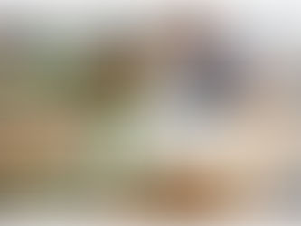 Vitrafoxin natural blood pressure supplement bottle next to a blood pressure cuff and plant-based ingredients, representing natural heart health and circulation support.