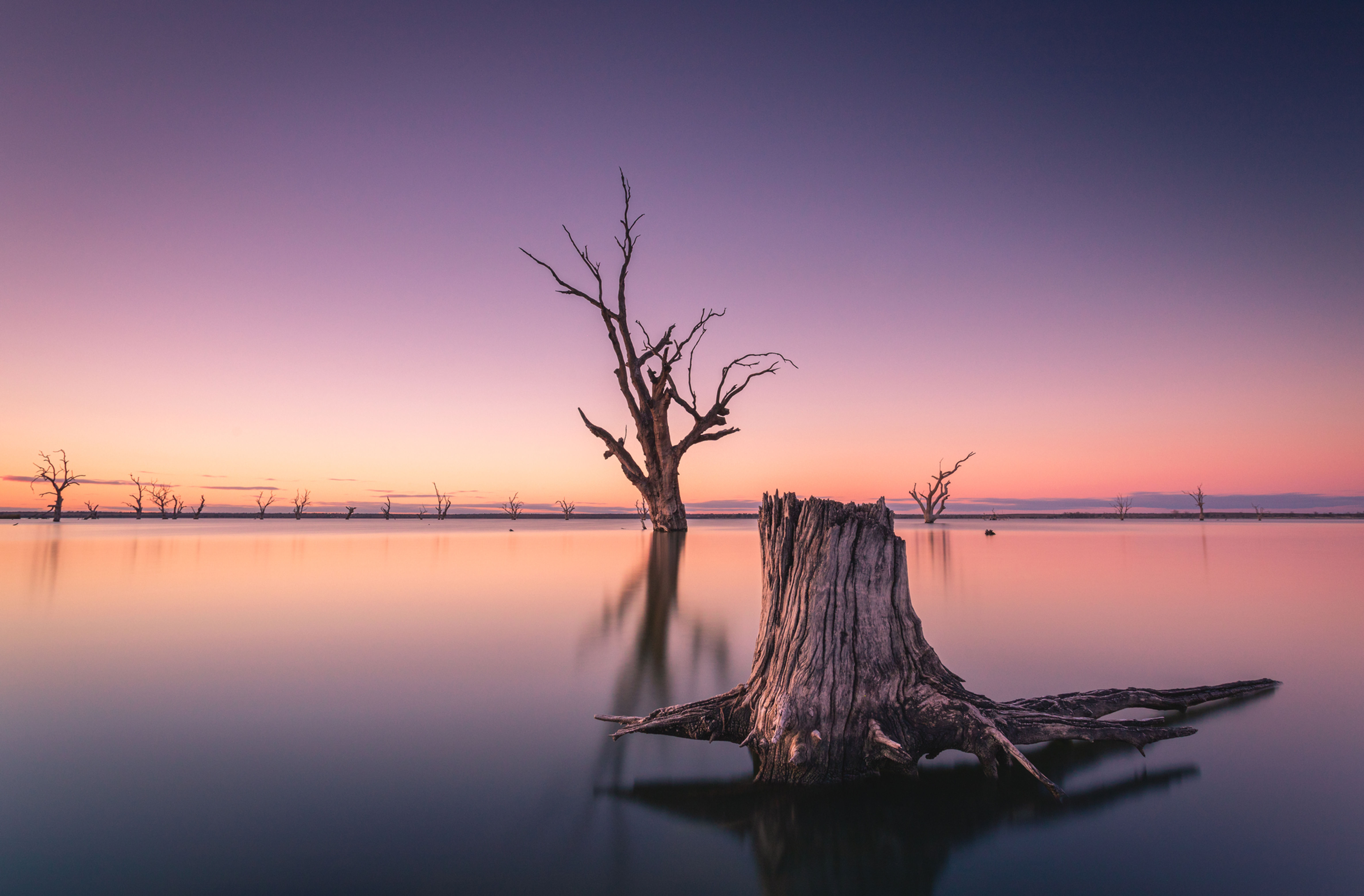 Levitation - Framed Print