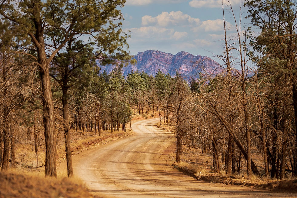 'Road to Bunyeroo' - Framed or Print Only