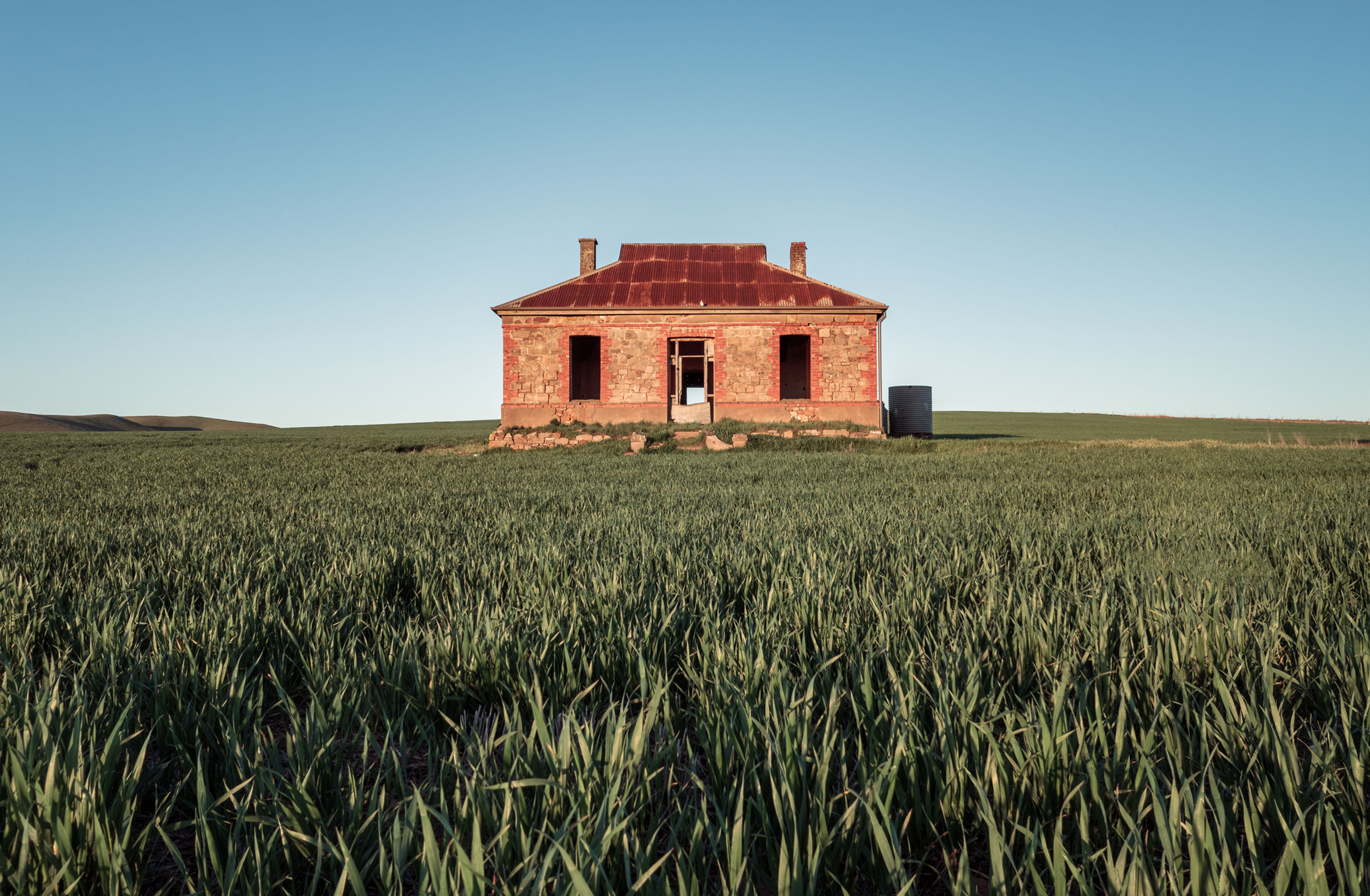 'Crops' - Framed Print or Stretched Canvas