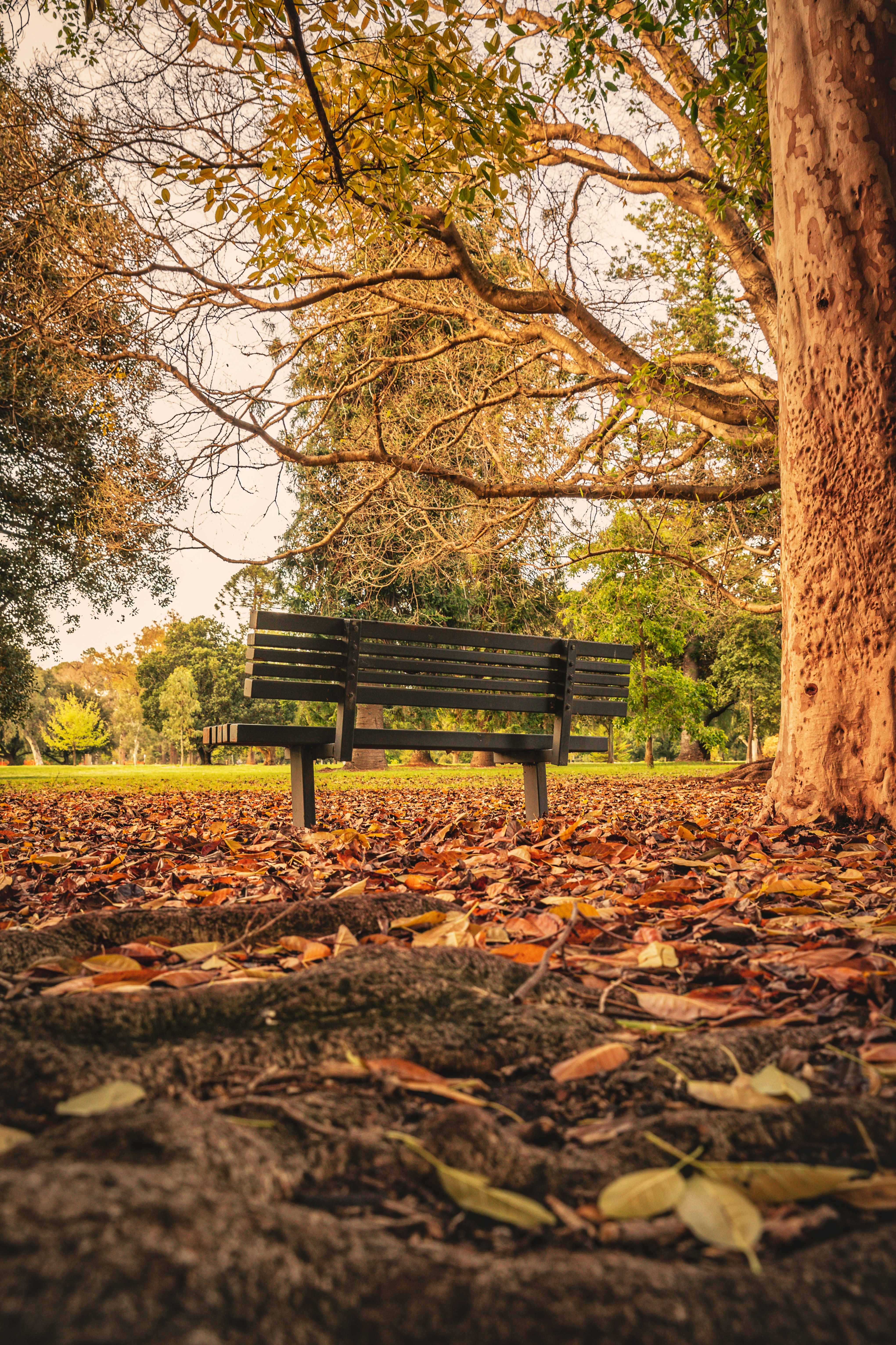'Breathe' - framed print