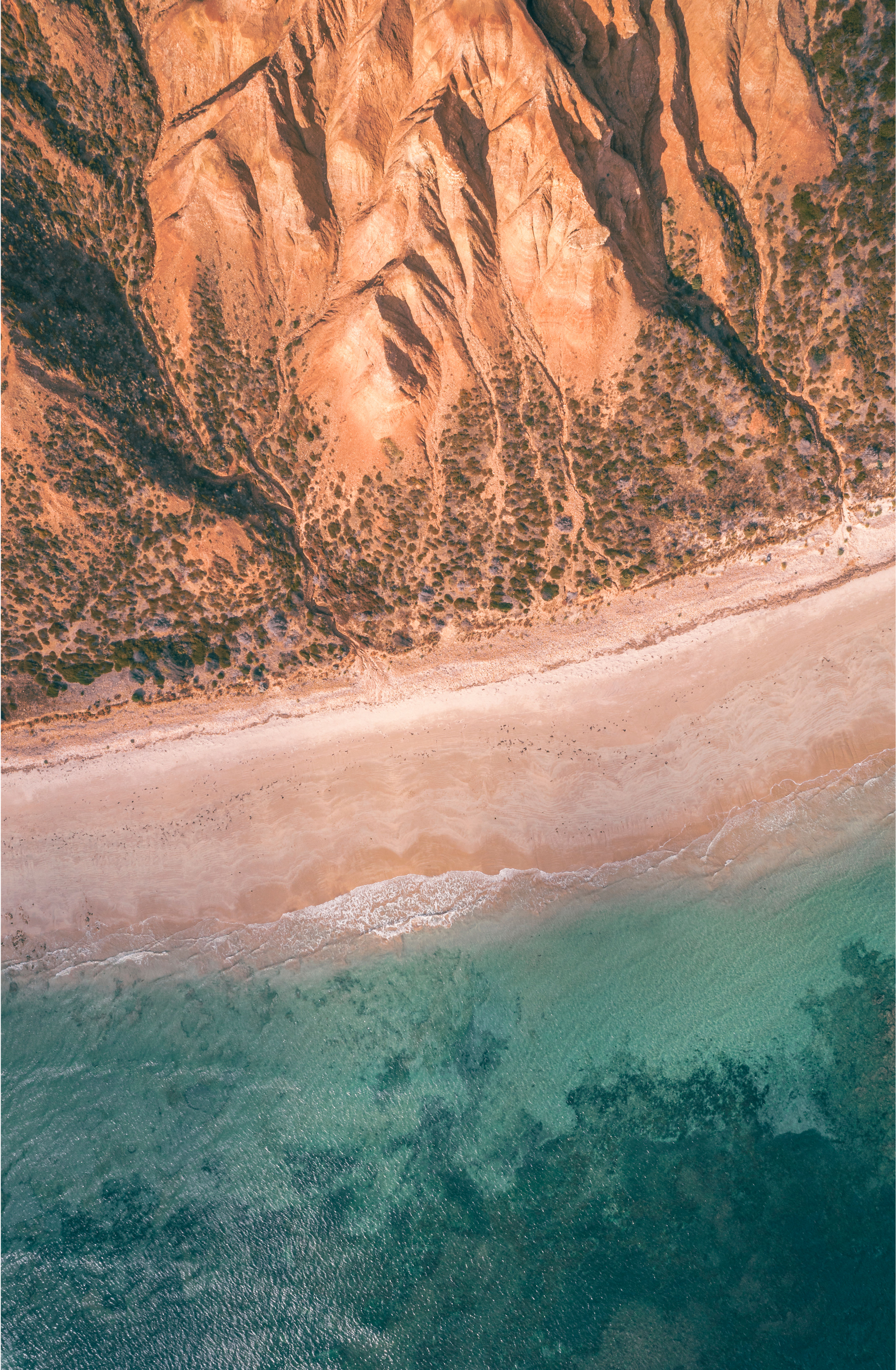 'Into the Green' - Framed Print or Stretched Canvas