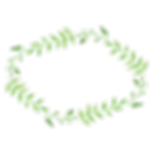 Plant Wreath 4
