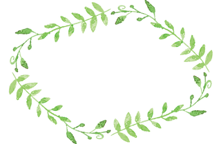 植物の花輪4