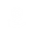 ss iconos-07.png