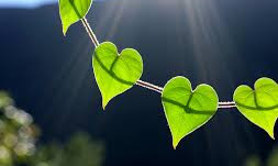 Beloved