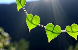 Beloved