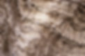 iStock-1389056718_edited.jpg