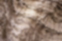 iStock-1389056718_edited.jpg