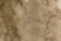 iStock-1319173778_edited_edited.jpg