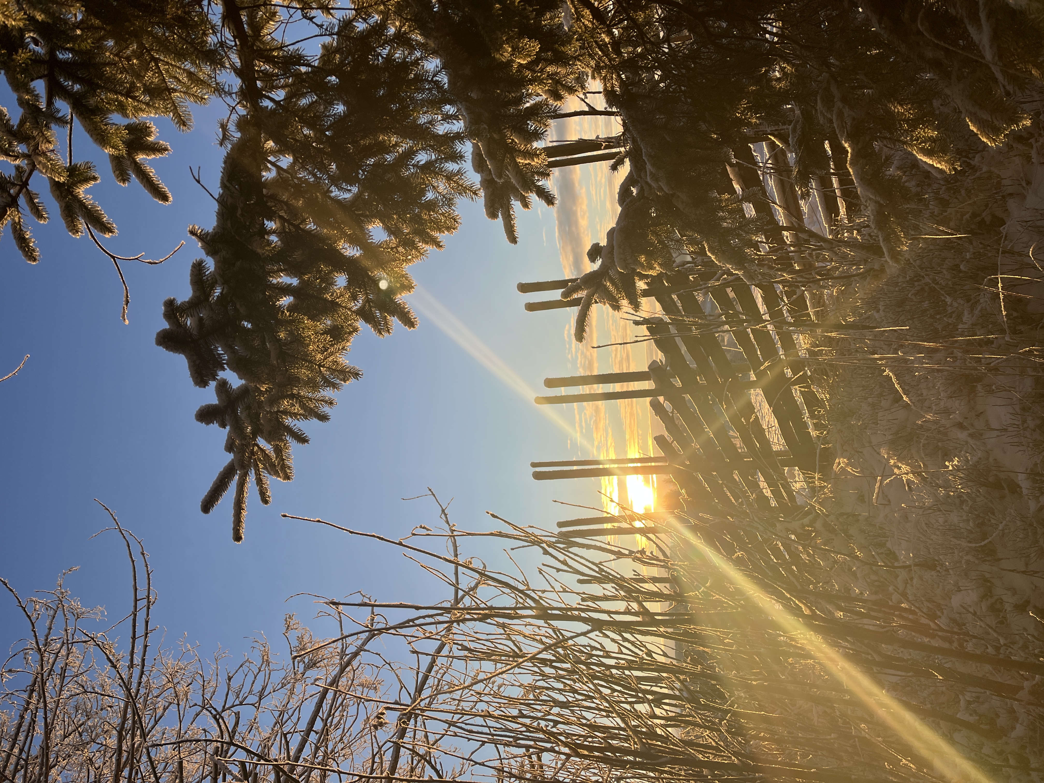 "Skigarden til Sjusjøen Husky Tours"