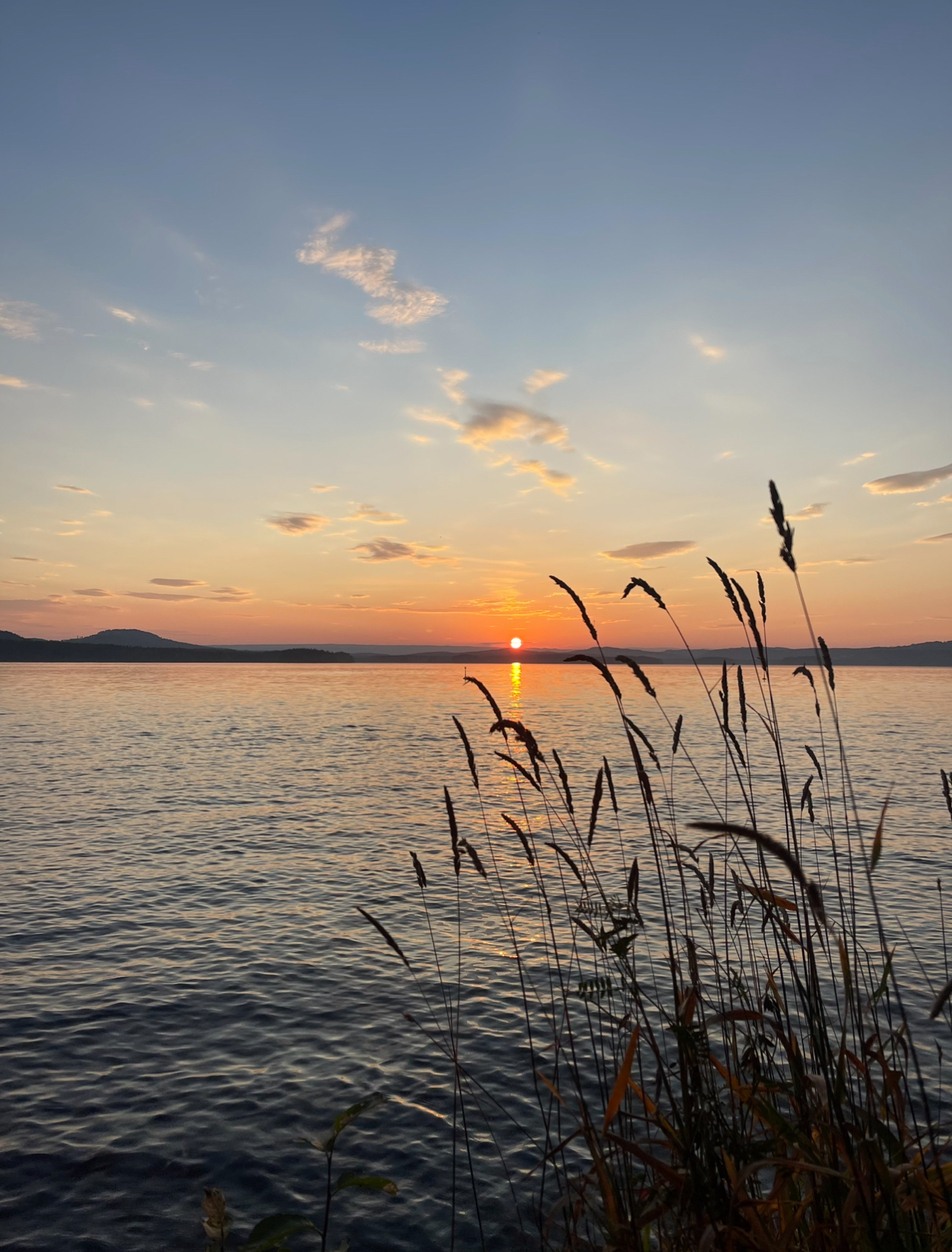 "Sommerkveld ved Næra"