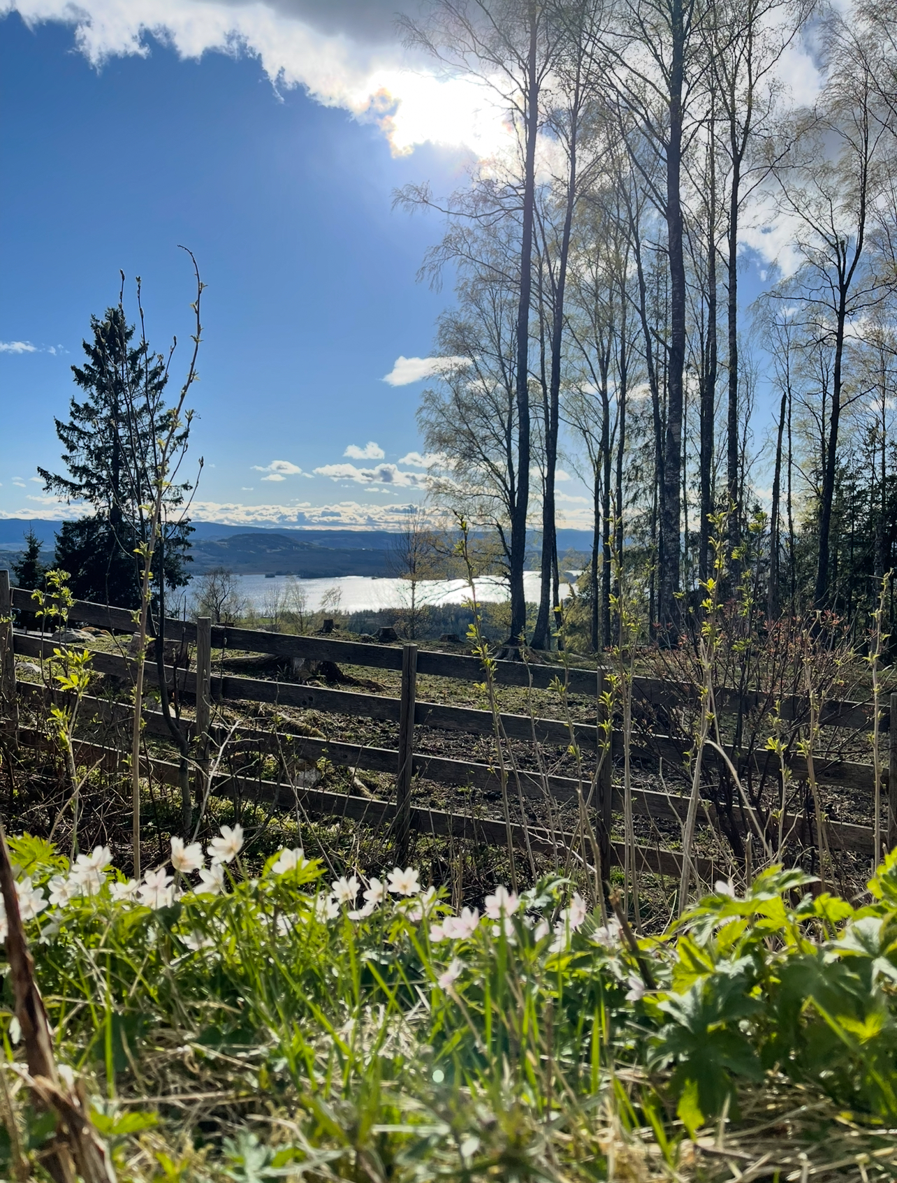 "Vårtegn over glitrende Næra"