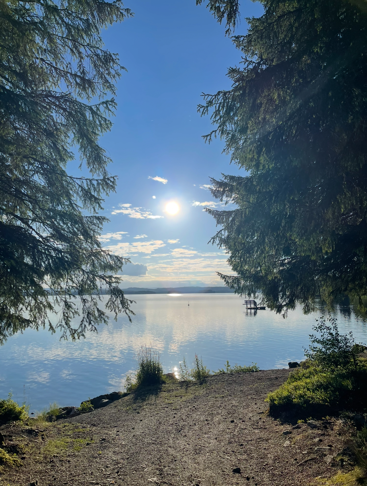 "Varm sommerdag ved Steinshølet"