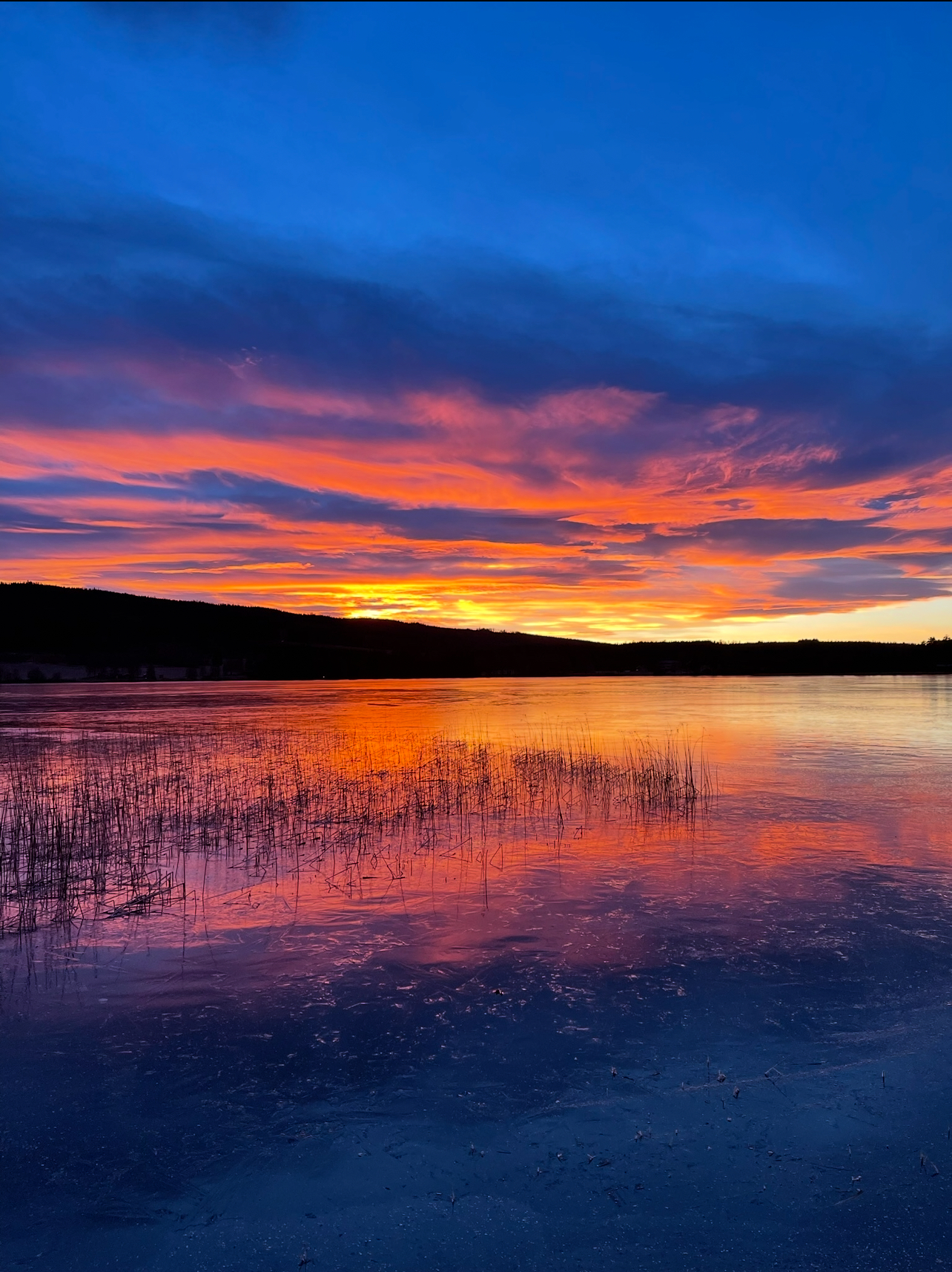 "Kald novemberkveld ved Næra"