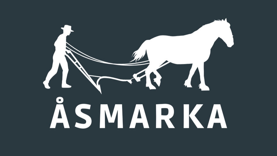 Hva betyr logoen vår?